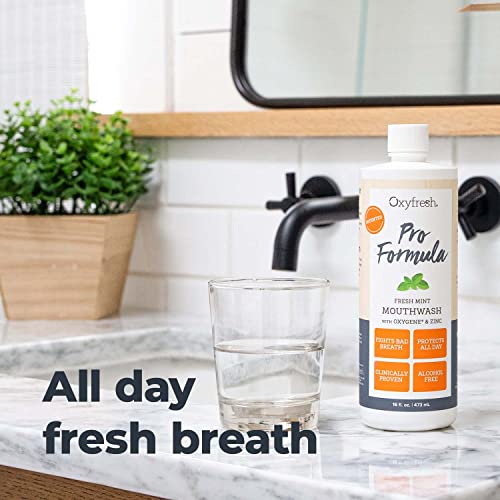 Oxyfresh Pro Formula Fresh Mint Mouthwash with Zinc - 16 Fl Oz, Alcohol & Dye Free