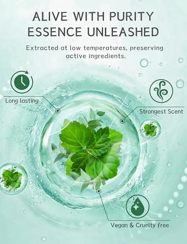 Aromatherapy Shower Steamers 15 Pack - Menthol & Eucalyptus