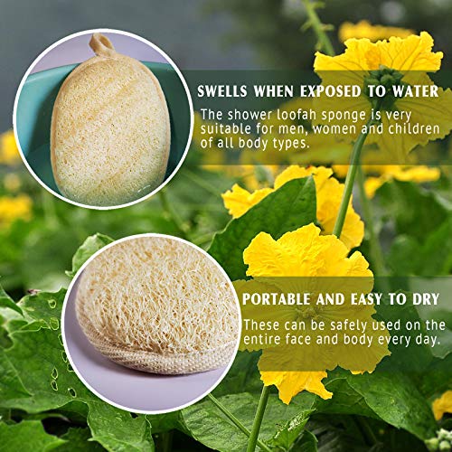 Natural Loofah Sponge Exfoliating Body Scrubber 3 Pack