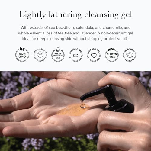 evanhealy Tea Tree Gel Cleanser | Cleansing Gel with Organic Lavender | Non-Detergent Gel for Face & Body | All Skin Types
