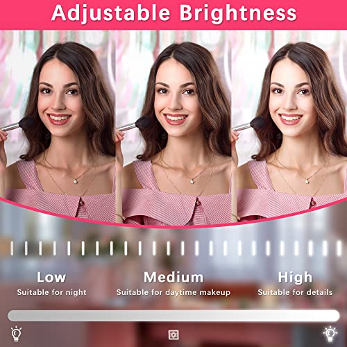 ROLOVE 22x17 Inch Lighted Vanity Mirror with Dimmable LED Lights - 3 Color Modes, Smart Touch Control & 360¡Æ Rotating Base - Desk Makeup Mirror (Black)