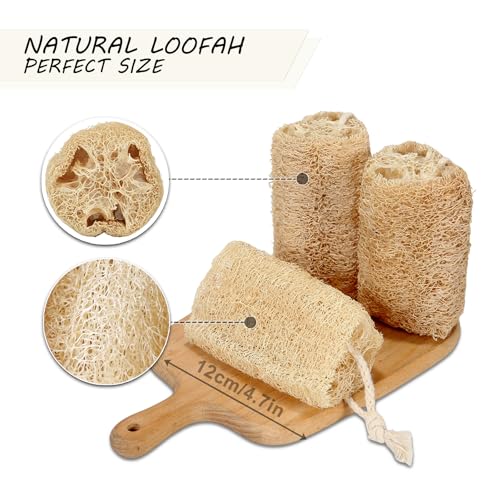 Natural Loofah Sponge 6 Pack - Organic Body Exfoliator