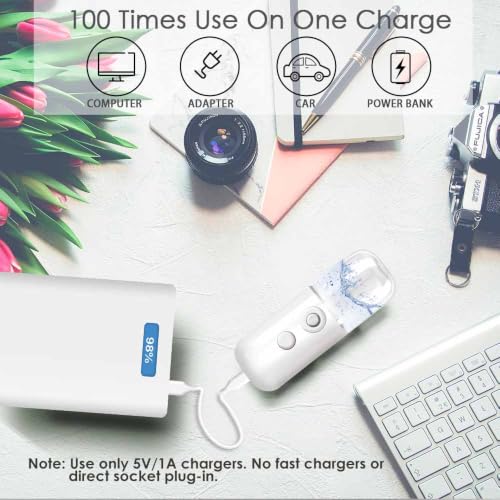 GIVERARE Nano Facial Steamer, USB Rechargeable Mist Sprayer 30ml