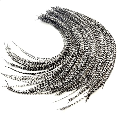 Feather Headz 50 Real Rooster Hair Feathers 9-14 Inch Color Hair Extensions DIY Kit
