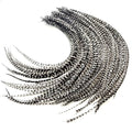 Feather Headz 50 Real Rooster Hair Feathers 9-14 Inch Color Hair Extensions DIY Kit