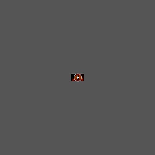 NYX PROFESSIONAL MAKEUP Pro Flat Detail Brush