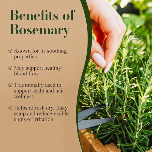 Lia Organics Rosemary Hair Growth Scalp Spray - Nourishing & Refreshing