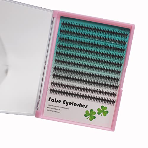 12D Fishtail Cluster Lashes 8-14mm Black Individual Extensions