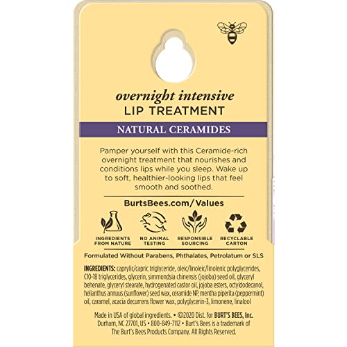 Burt's Bees Overnight Intensive Lip Treatment, 0.25 oz - Moisturizing, Restorative, Reduces Fine Lines, Vitamin E, Ceramides Oils, Leaping Bunny Certified, Compact Jar