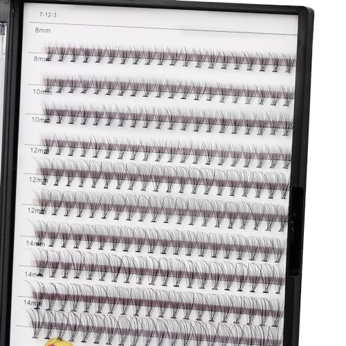 10D Lash Extensions 200pcs Mixed Sizes 8-14mm