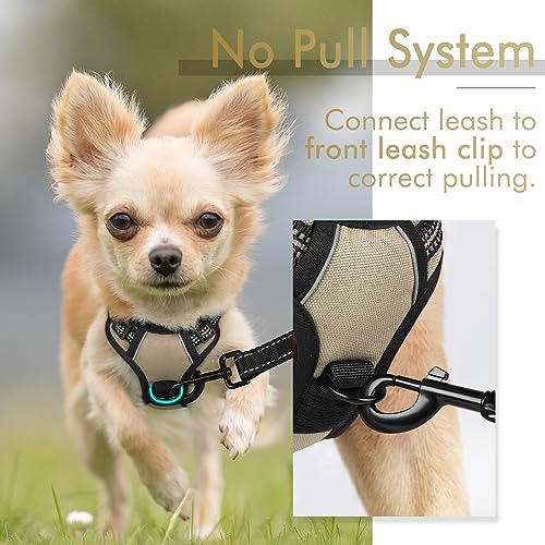 rabbitgoo Dog Harness, No-Pull Pet Harness with 2 Leash Clips, Adjustable Soft Padded Dog Vest, Reflective No-Choke Pet Oxford Vest with Easy Control Handle for Small Dogs, Wild Lime,S