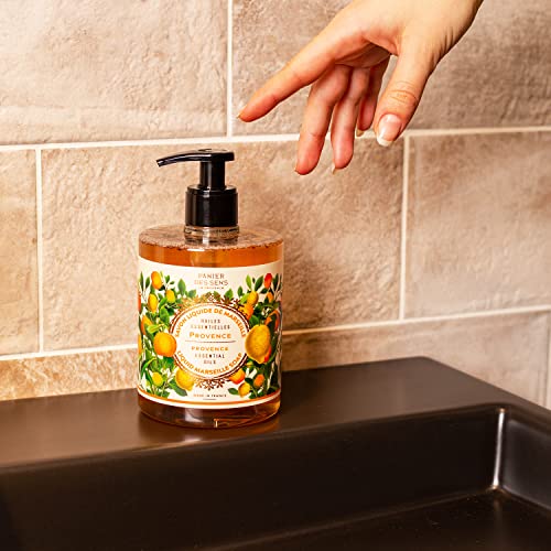 Panier des Sens ? Provence Foaming Liquid Hand Wash & Moisturizing Hand Cream ? Hand Soap and Lotion Set - with Coconut Oil, Shea Butter ? French Hand Care ? Gentle Formula ? 97% Natural Ingredients