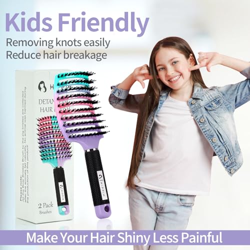 HIPPIH Boar Bristle Hair Brush Set of 2, Wet & Dry