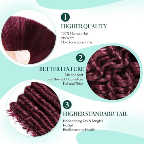 Boho Hair for Braiding, Curly Virgin Human Braiding Women, 12A