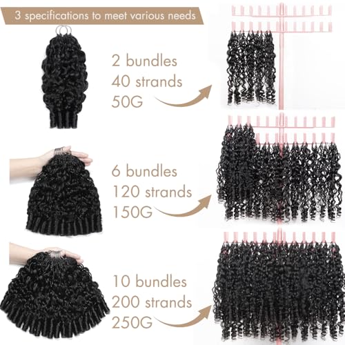 EINbeauty 16 Inch Burmese Curly Crochet Hair for Black Women