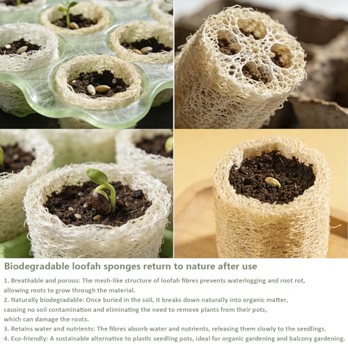 Natural Loofah Sponge 4 Pack - Organic Exfoliating Body Scrubber