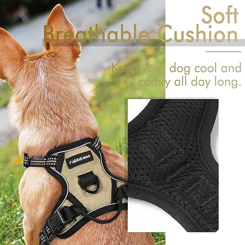 rabbitgoo Dog Harness, No-Pull Pet Harness with 2 Leash Clips, Adjustable Soft Padded Dog Vest, Reflective No-Choke Pet Oxford Vest with Easy Control Handle for Small Dogs, Wild Lime,S