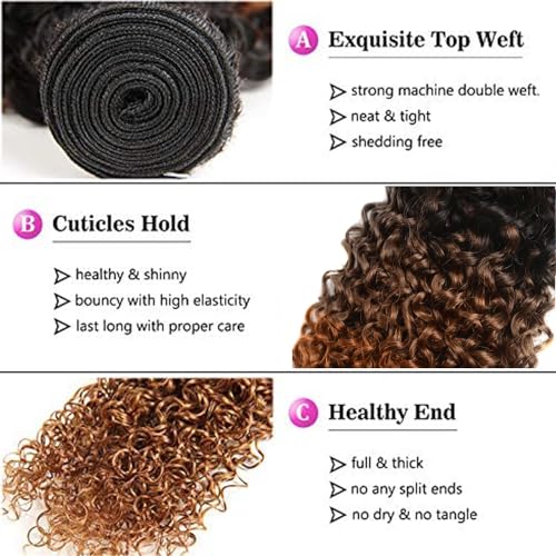 Ombre Brown Kinky Curly Human Hair Bundles - 24, 26, 28 Inch