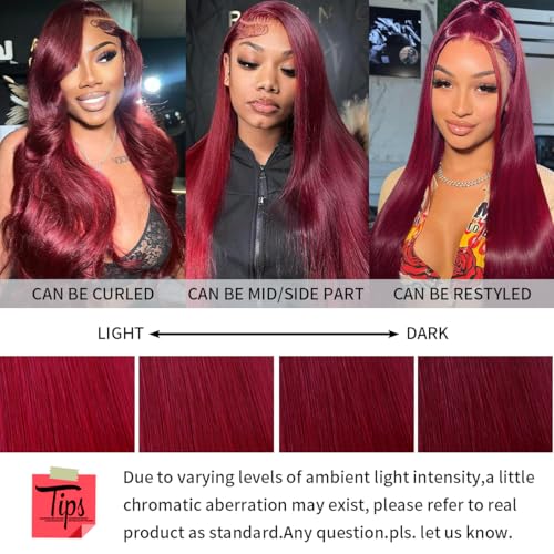DJFG Burgundy 200% Density Human Hair Lace Front Wig - 20 Inch
