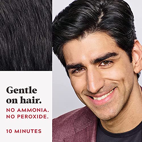 Just For Men Touch of Gray Hair Color Kit with Comb Applicator