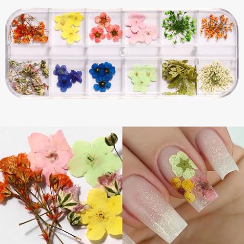 Dry Dried Flowers for Nails, Nails Decoration,Natural Pressed Petals for Nail Art Design, Perfect for DIY Manicure (A01)