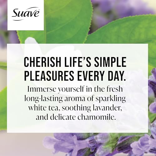 Suave Moisturizing Body Wash Women, White Tea and Lavender with Vitamin E and Aloe Extracts, No Parabens, No Phthalates, 18 Oz (Pack of 6)