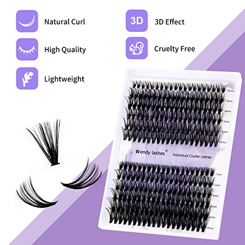 Wendy Lash Clusters DIY Kit - 240 PCS, 12-16mm Mixed, 30D+40D