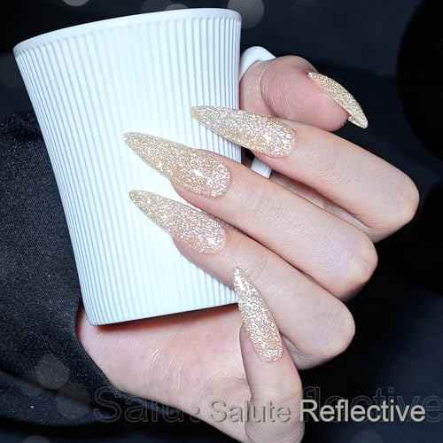 GAOY Reflective Glitter Gel Nail Polish Set for 6 Colors Including Pink Red Silver Black Colors Holographic Gel Polish Kit for Salon Manicure and Nail Art DIY at Home