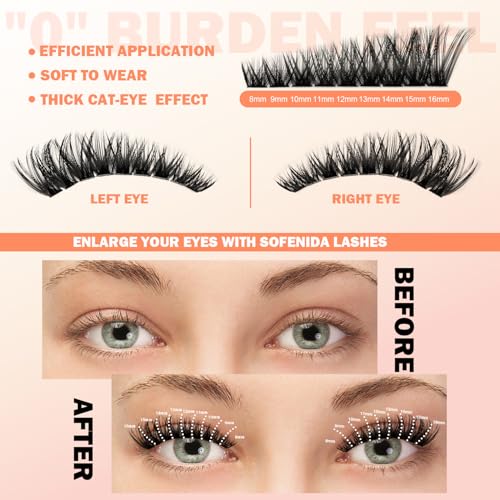 Lash Clusters 80D Cluster Eyelash Extensions 8-16mm Cat Eye Wispy Eyelash Clusters 12 Pairs D Curvature Eyelash Clusters Left & Right Diy Lash Extension at Home
