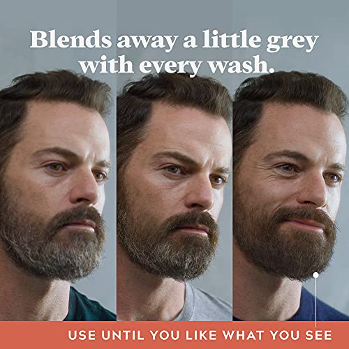 Just for Men Control GX Grey Reducing Shampoo & Beard Wash