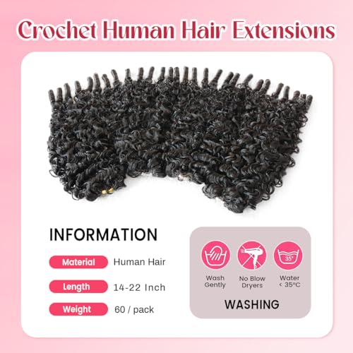 Burmese Curly Crochet Hair for Black Women - 14 Inch Knotless Extensions