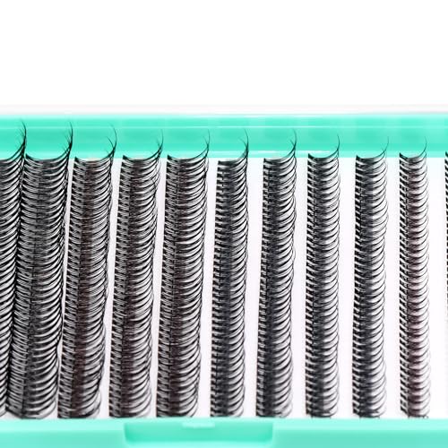Bodermincer Black/Colored Cluster Lashes 240pcs 20D/40D DIY Eyelash Extension D Curl Long Individual Lashes Mixed Tray Faux Mink Lash Clusters Extensions 8-22mm (12D 8-10-12-14-16mm MIX)