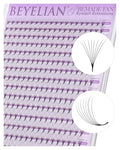 BEYELIAN Premade Lash Fans 8D 0.07 320 Count Eyelash Extensions