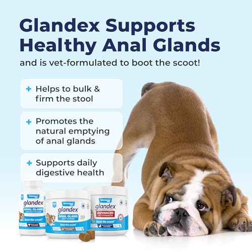 Glandex Anal Gland Soft Chew Treats with Pumpkin for Dogs Digestive Enzymes, Probiotics Fiber Supplement for Dogs Boot The Scoot (Pork Liver Chews, 30ct)