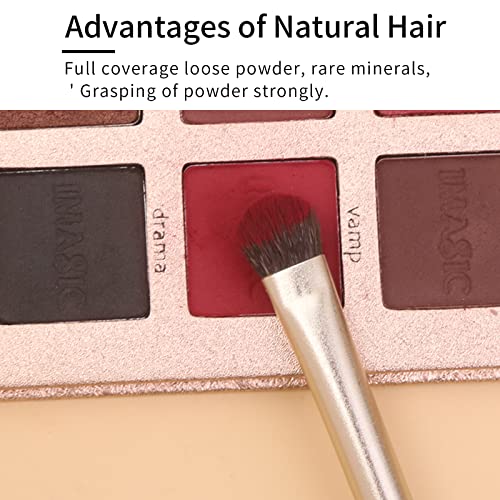 Natural Goat Hair Eye Shadow Brush Set, Pony Hair Eyeshadow Brushes Set, Small Nose Contour Brush, Angled Eyeshadow Brush, Eyeshadow Blending Brush, Eye Makeup Brushes Set Professional - E200