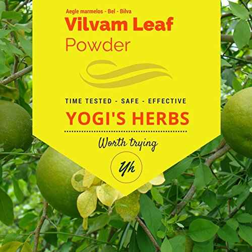 YOGIS HERBS Premium Vilvam Leaf Powder (Aegle Marmelos/Bael/Bilva) 1 Lb Fresh & Pure 16.0 Ounce (Pack of 1) Green