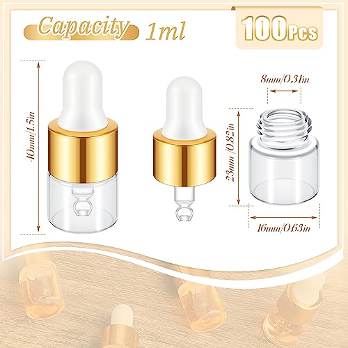 100 Pcs Mini Glass Oil Dropper Bottles with Caps - 1/5/10/15ml
