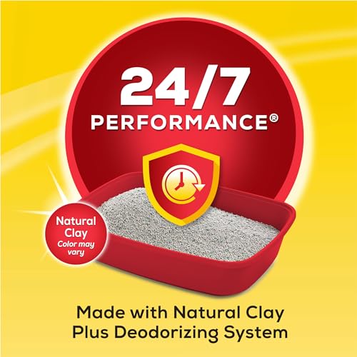 Purina Tidy Cats 24/7 Performance Clumping Cat Litter - 16 lb Bag (Pack of 1)