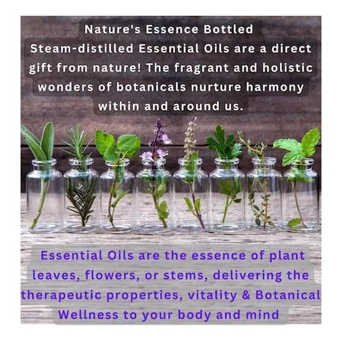 Goat Milk Soap set of 2 BOGUE No.36 WELLNESS Immunity Blend- Stimulating Essential Oils Eucalyptus, Lemon, Ginger, Frankincense & Tea Tree with Black Cumin oil, Cats Claw herb top