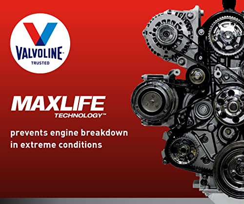 Valvoline Full Synthetic High Mileage with Enhanced MaxLife Technology 5W-20 12 QT Garage Box