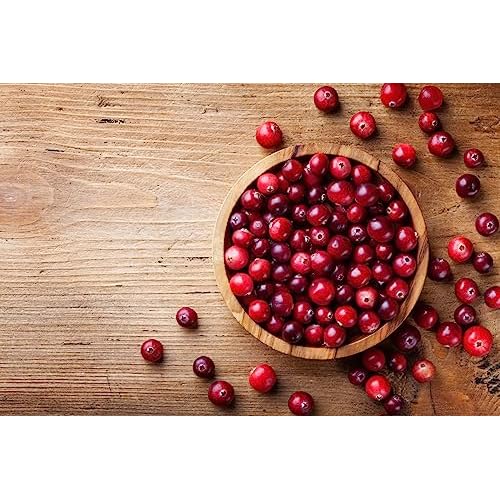 OSLOVE Unrefined Cranberry Seed Oil 4 oz- Cold Pressed Extracted from Cranberry Seeds | Great Moisturizer for Skin and Hair | Anti-Aging and Softening for Skin