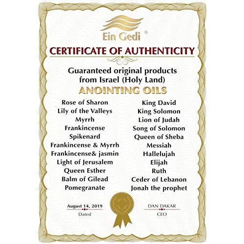 Ein Gedi Anointing Oil 100 ml - 3.4fl oz Blessing from Jerusalem Made in Holyland for Prayer and Blessings (100ml, Frankincense Myrrh & Spikenard)