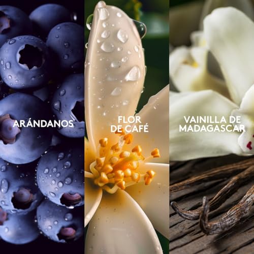 ESIKA Dream + Vibranza Perfume for Women