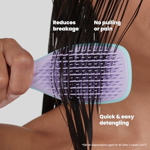 Tangle Teezer Ultimate Detangler Mini Hair Brush