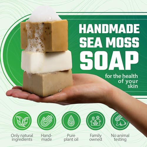 TrueSeaMoss Detoxifying Sea Moss Soap - All-Natural Soap with Coffee Vanilla Coconut & Oatmeal Honey - Gentle on Sensitive Skin for Face and Body Use, Gift for Men & Women