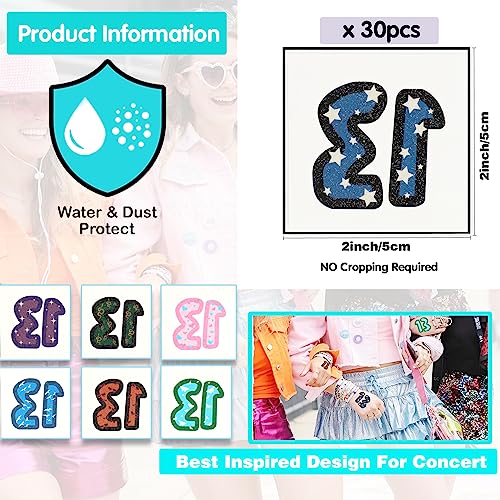 30 Pcs Concert Merch,13 Temporary Tattoo,13 Tattoo,Hand tattoo,Star Temporary Tattoos,Concert Accessories for Singer Gifts
