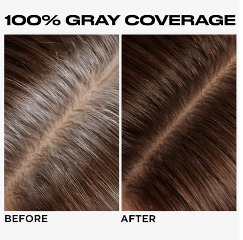 Clairol Nice'n Easy 2 Black Permanent Hair Dye – 6.26 fl oz