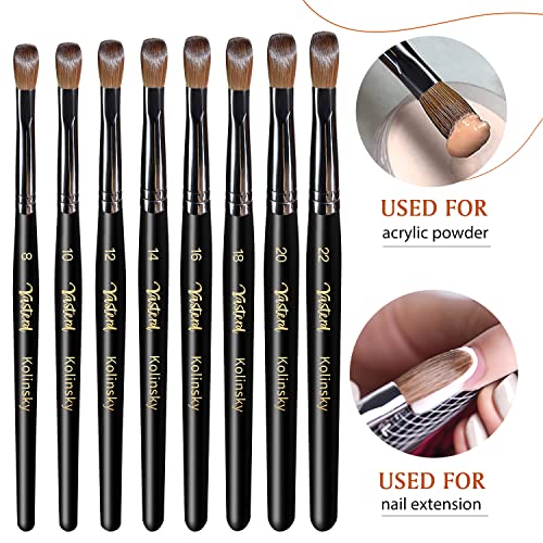 Yasterd Acrylic Nail Brush 100% Kolinsky Brushes for Nails Size 18 Oval Crimped Shaped Brushes for Acrylic Application Black Wood Handle Professional Nail Art Powder Brush Manicure Tool