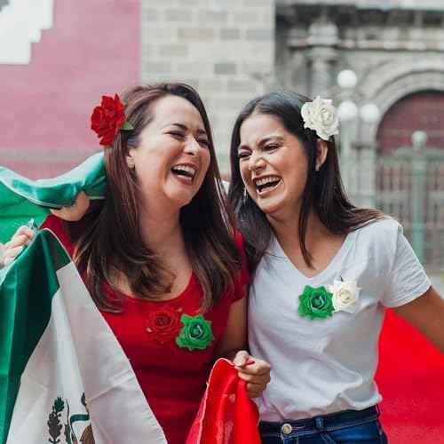 7 Pcs Mexican Hair Accessories for Women Independence Day Rose Flower Brooch Clip Mexican Flag 16th September Flower Hair Accessories for Traditional Girls Independencia De Mexico