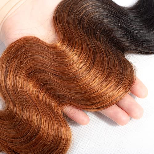Fridnae Ombre Brown #1B30 Body Wave Human Hair Bundles 24-28 Inch Set